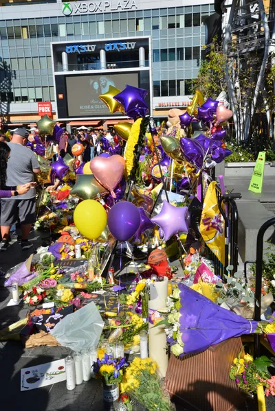 DSC_7167 (Large).JPG